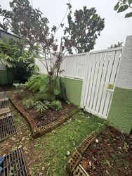 Camelia Park (D28), Semi-Detached #472919561